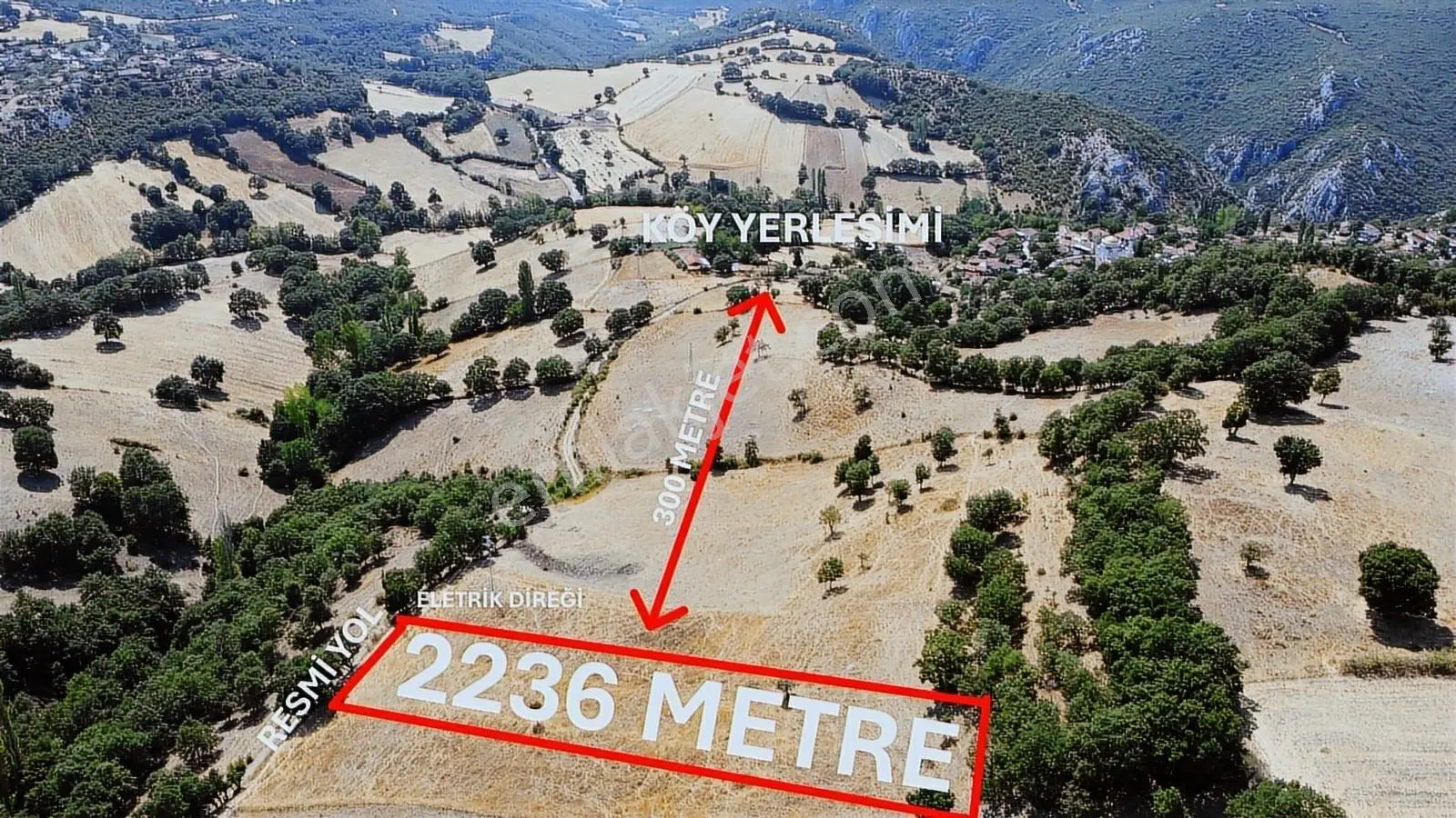 Balıkesir İvrindi Aşağı Kaleoba 2236m2 Köye 300 Metre Yola Cephe