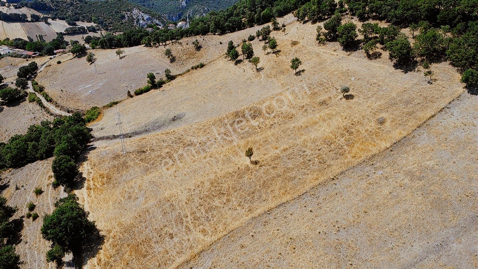Balıkesir İvrindi Aşağı Kaleoba 2236m2 Köye 300 Metre Yola Cephe - Görsel 25