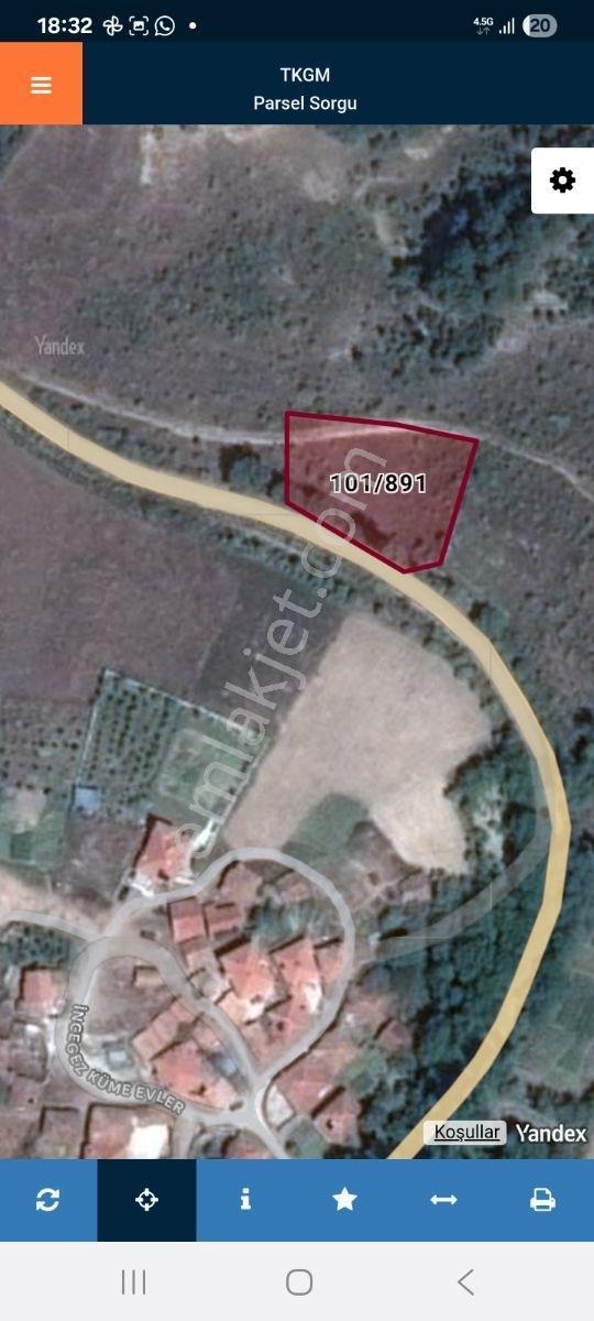 Çankırı Çerkeş Avşar Köy Dibi Bahçe 1562m2 - Görsel 8