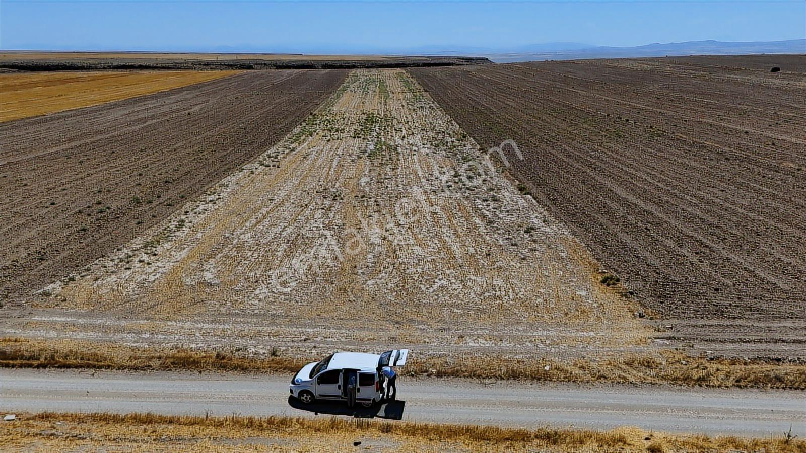 Kırşehir Mucur Büyükkayapa 12631m2 Fırsat Arazi - Görsel 5