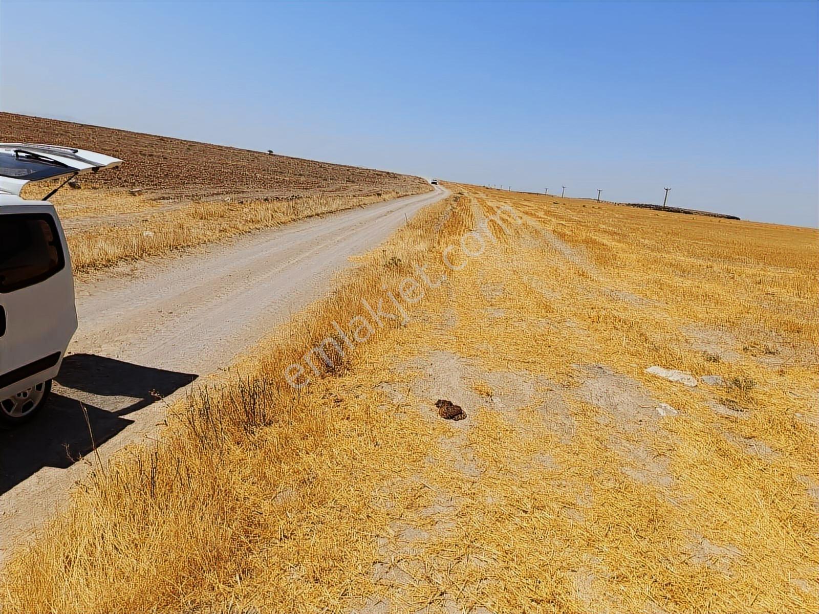 Kırşehir Mucur Büyükkayapa 12631m2 Fırsat Arazi - Görsel 8