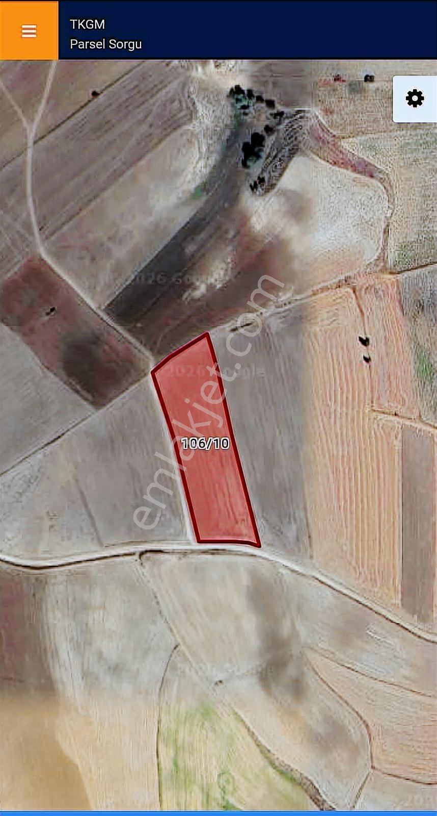 Çorum Merkez İğdeli 7048 Metre Resmi Yola Cephe Arazi - Görsel 4