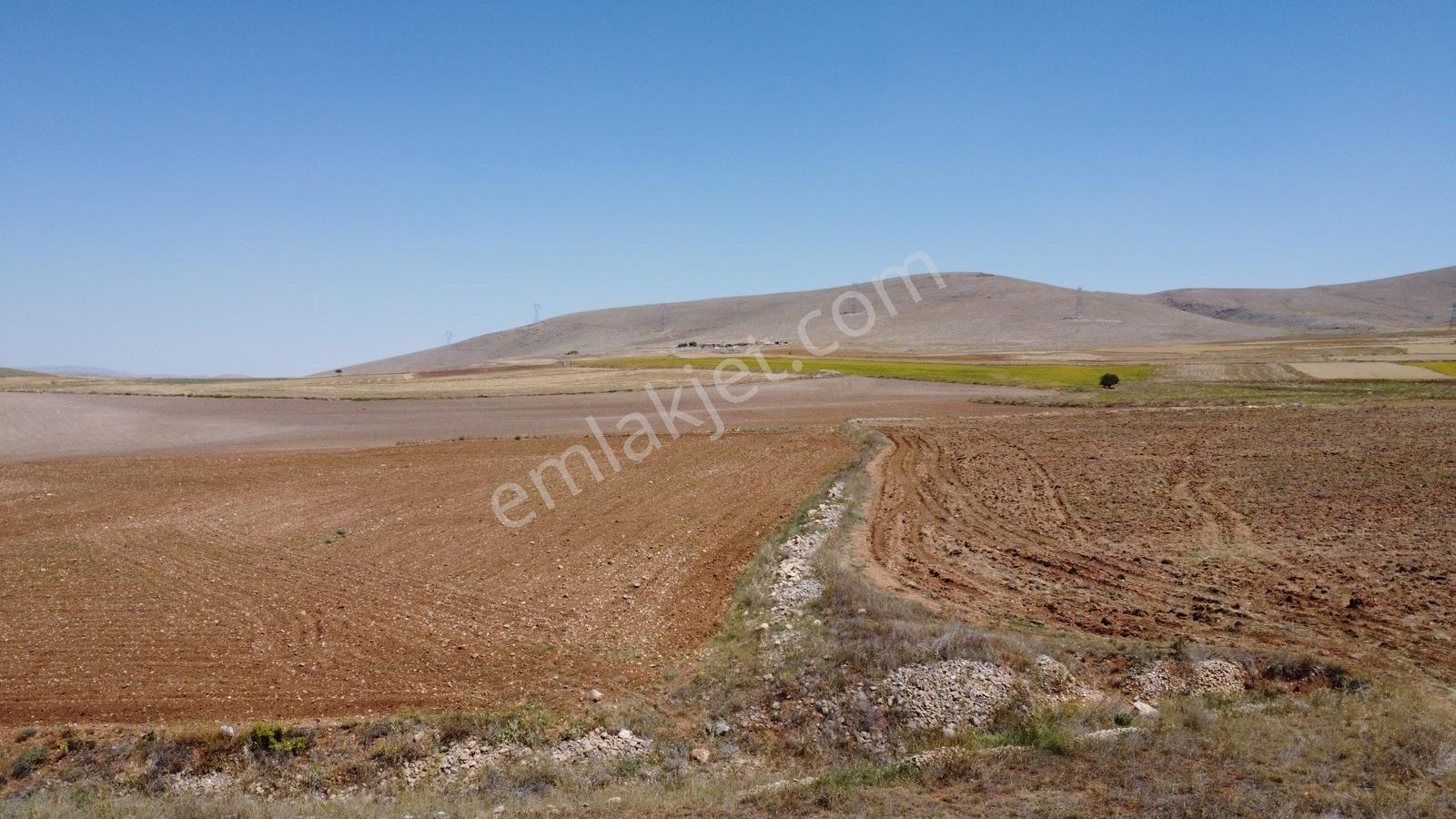 Konya Tuzlukçu Koraşı Yola Cephe 4750 Metre Arazi - Görsel 14