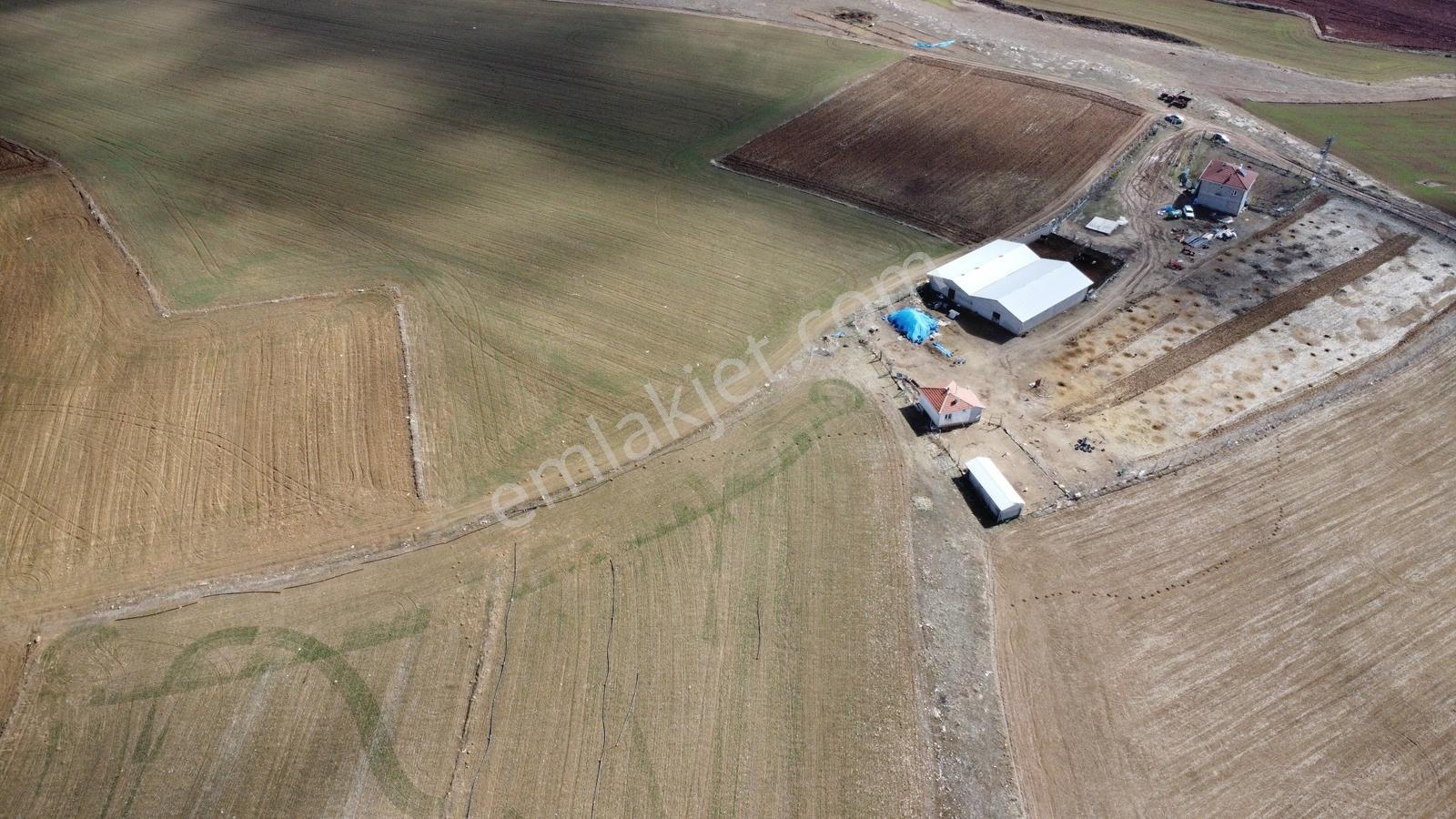 Nevşehir Hacıbektaş Zır Mah. 10250 Metre Çiftlik Yapılabilir - Görsel 23