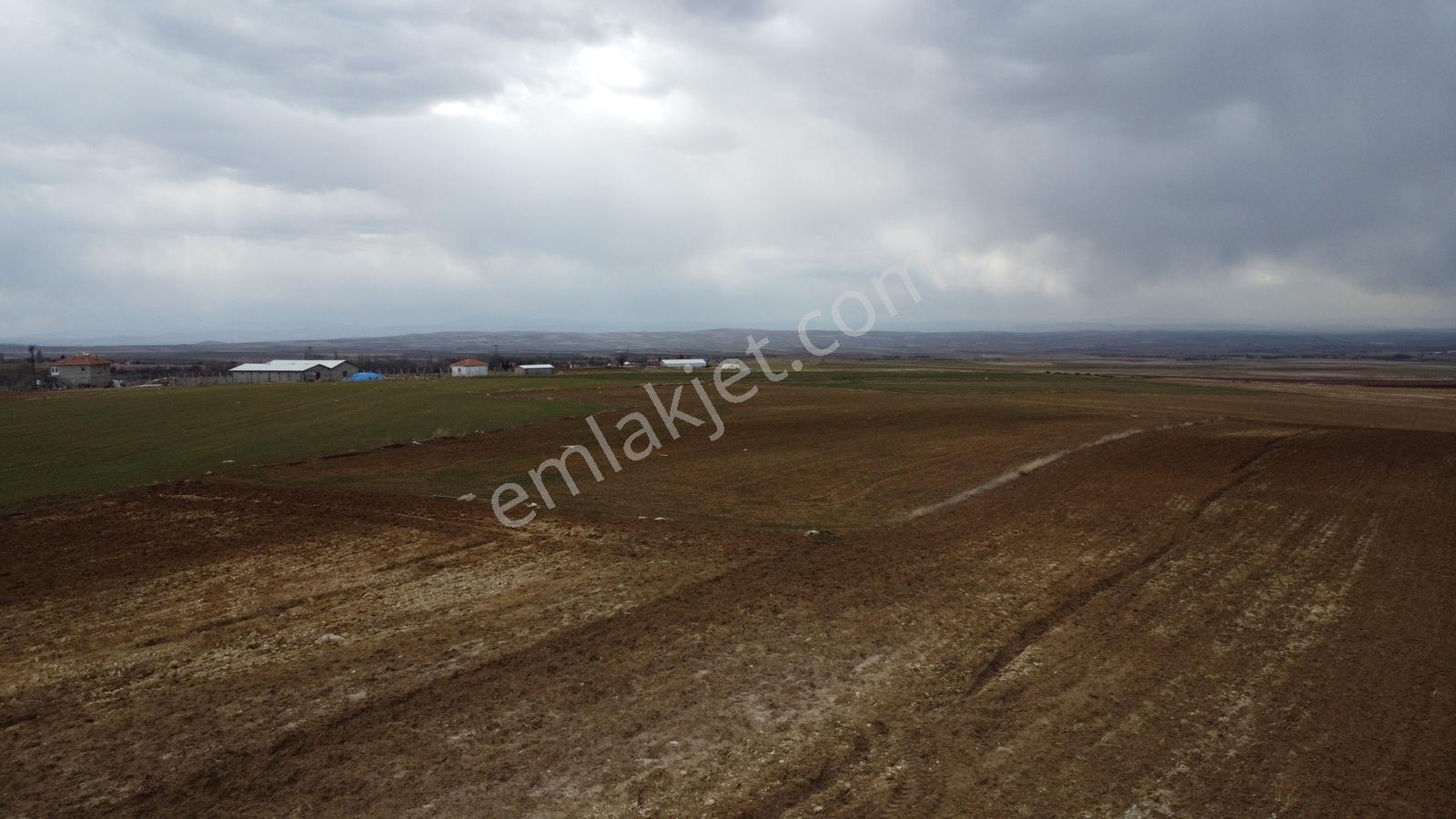 Nevşehir Hacıbektaş Zır Mah. 10250 Metre Çiftlik Yapılabilir - Görsel 4