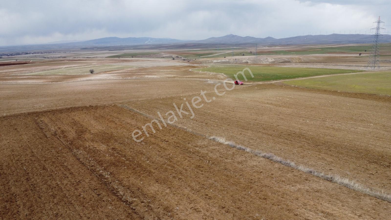 Nevşehir Hacıbektaş Zır Mah. 10250 Metre Çiftlik Yapılabilir - Görsel 22