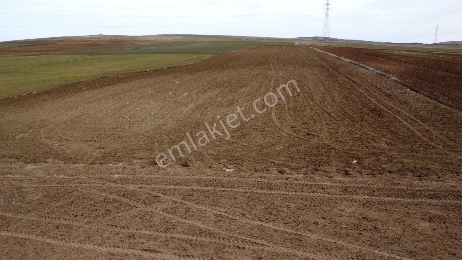 Nevşehir Hacıbektaş Zır Mah. 10250 Metre Çiftlik Yapılabilir - Görsel 14