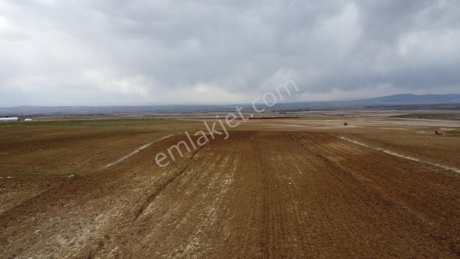 Nevşehir Hacıbektaş Zır Mah. 10250 Metre Çiftlik Yapılabilir - Görsel 33
