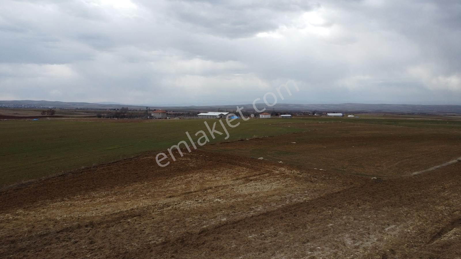 Nevşehir Hacıbektaş Zır Mah. 10250 Metre Çiftlik Yapılabilir - Görsel 16
