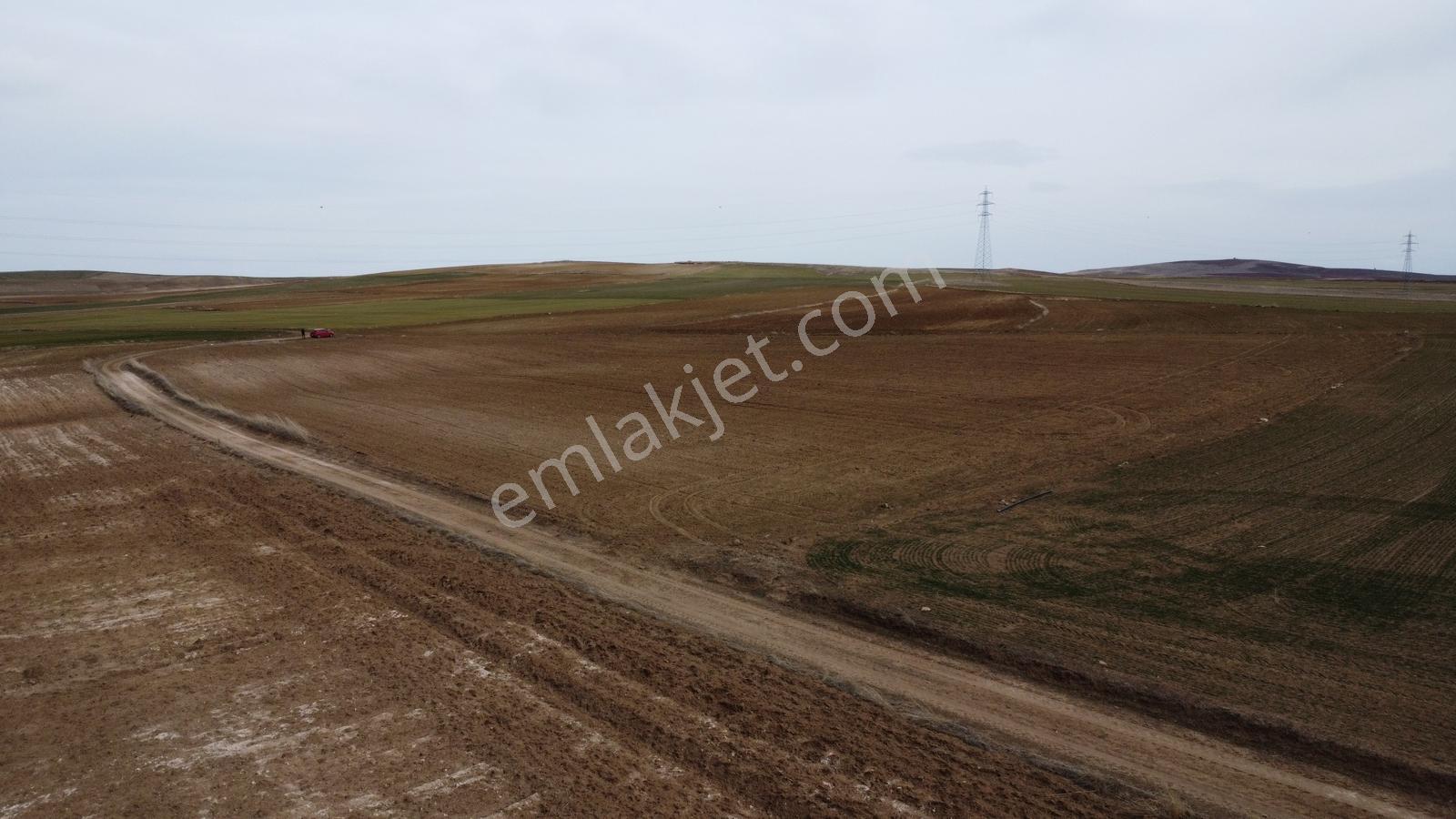 Nevşehir Hacıbektaş Zır Mah. 10250 Metre Çiftlik Yapılabilir - Görsel 31