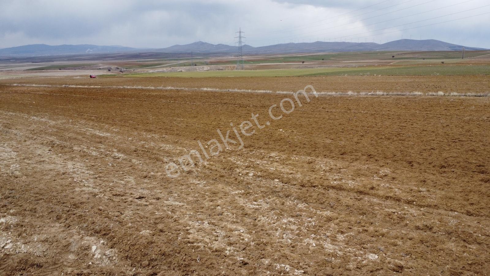 Nevşehir Hacıbektaş Zır Mah. 10250 Metre Çiftlik Yapılabilir - Görsel 7