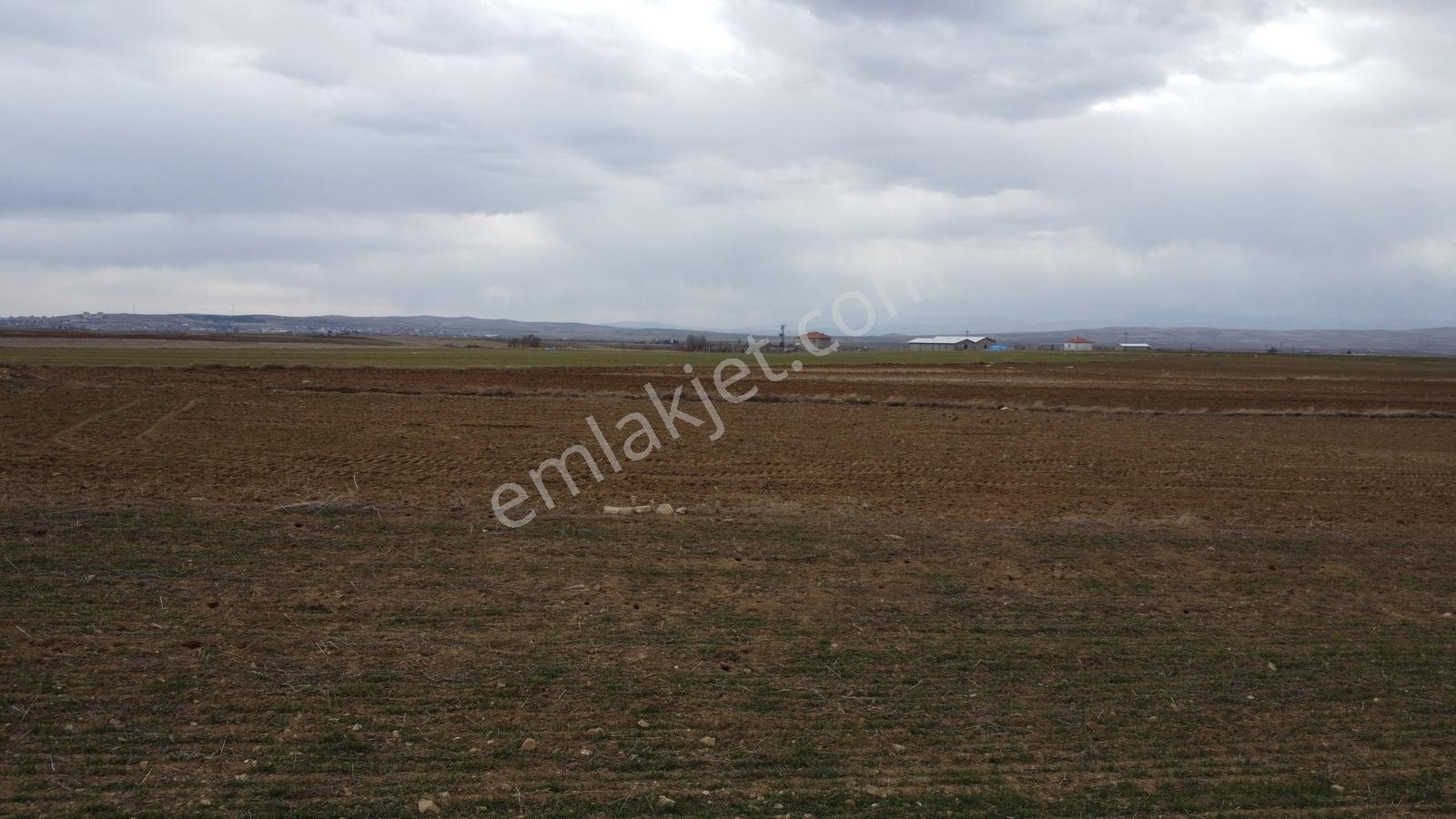 Nevşehir Hacıbektaş Zır Mah. 10250 Metre Çiftlik Yapılabilir - Görsel 11