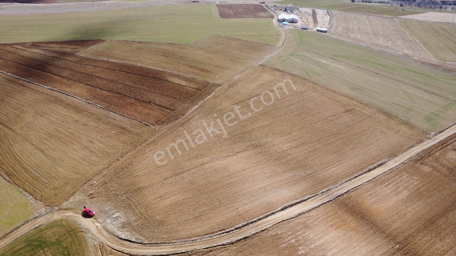 Nevşehir Hacıbektaş Zır Mah. 10250 Metre Çiftlik Yapılabilir - Görsel 13