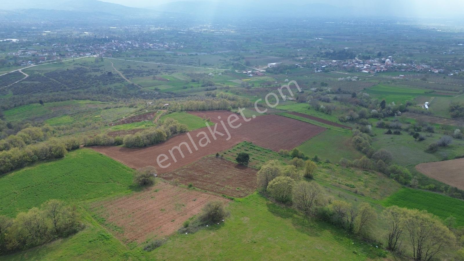 Küçükyenice'de Satılık 2800m2 Tek Tapu Ceviz Ekili Manzaralı - Görsel 18
