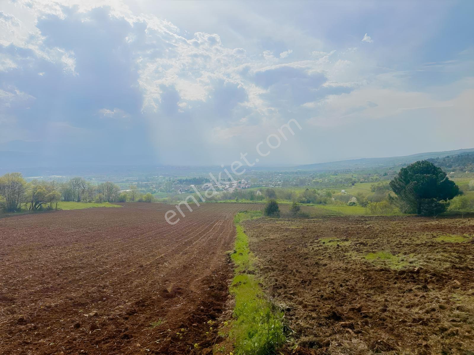 Küçükyenice'de Satılık 2800m2 Tek Tapu Ceviz Ekili Manzaralı - Görsel 2