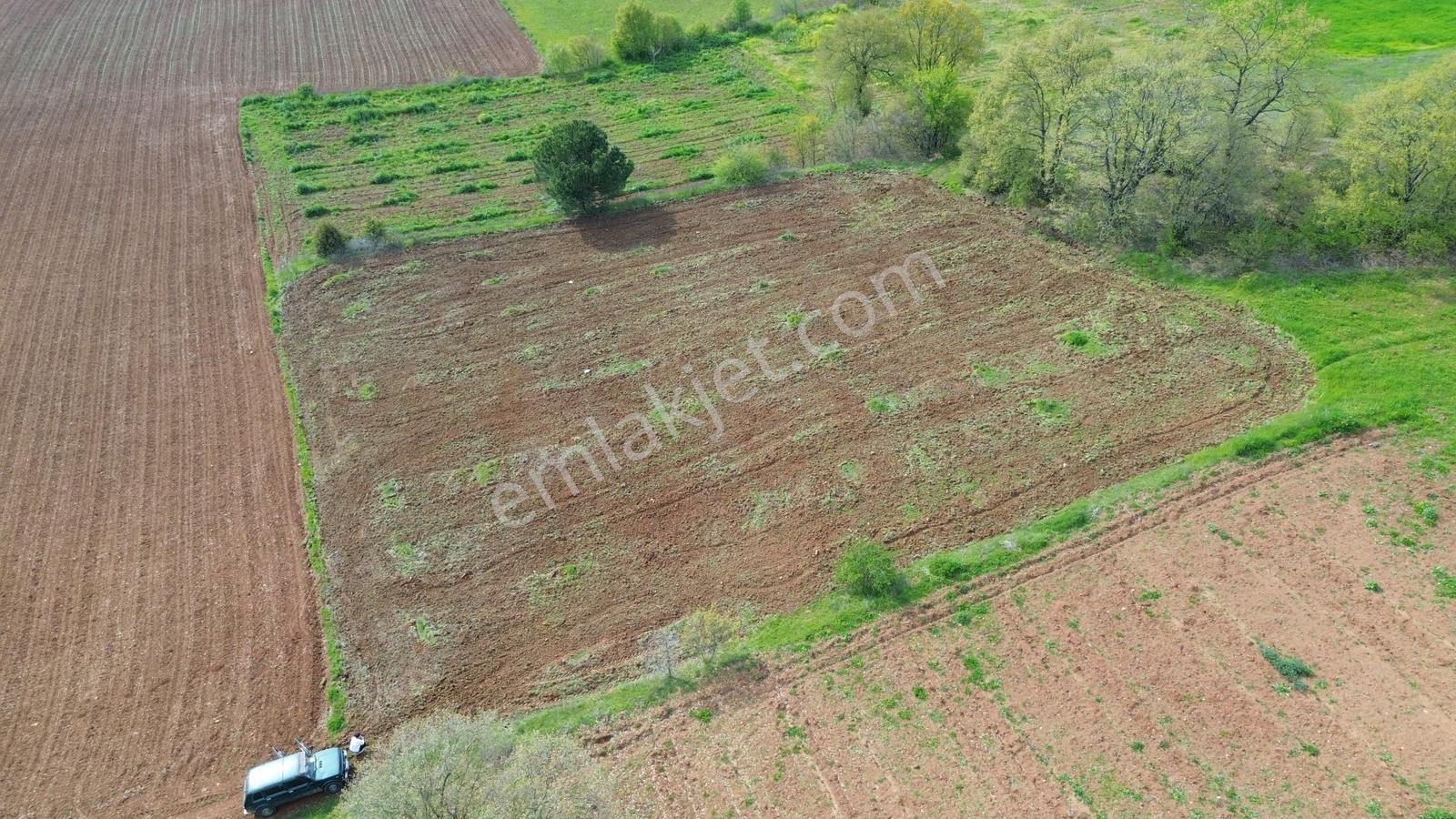Küçükyenice'de Satılık 2800m2 Tek Tapu Ceviz Ekili Manzaralı - Görsel 6