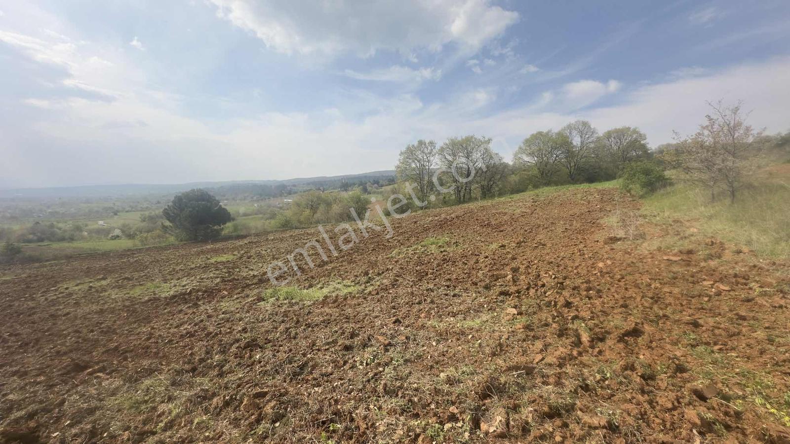 Küçükyenice'de Satılık 2800m2 Tek Tapu Ceviz Ekili Manzaralı - Görsel 24