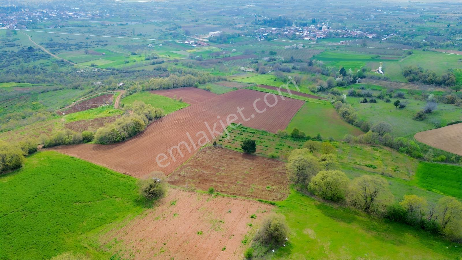Küçükyenice'de Satılık 2800m2 Tek Tapu Ceviz Ekili Manzaralı - Görsel 19