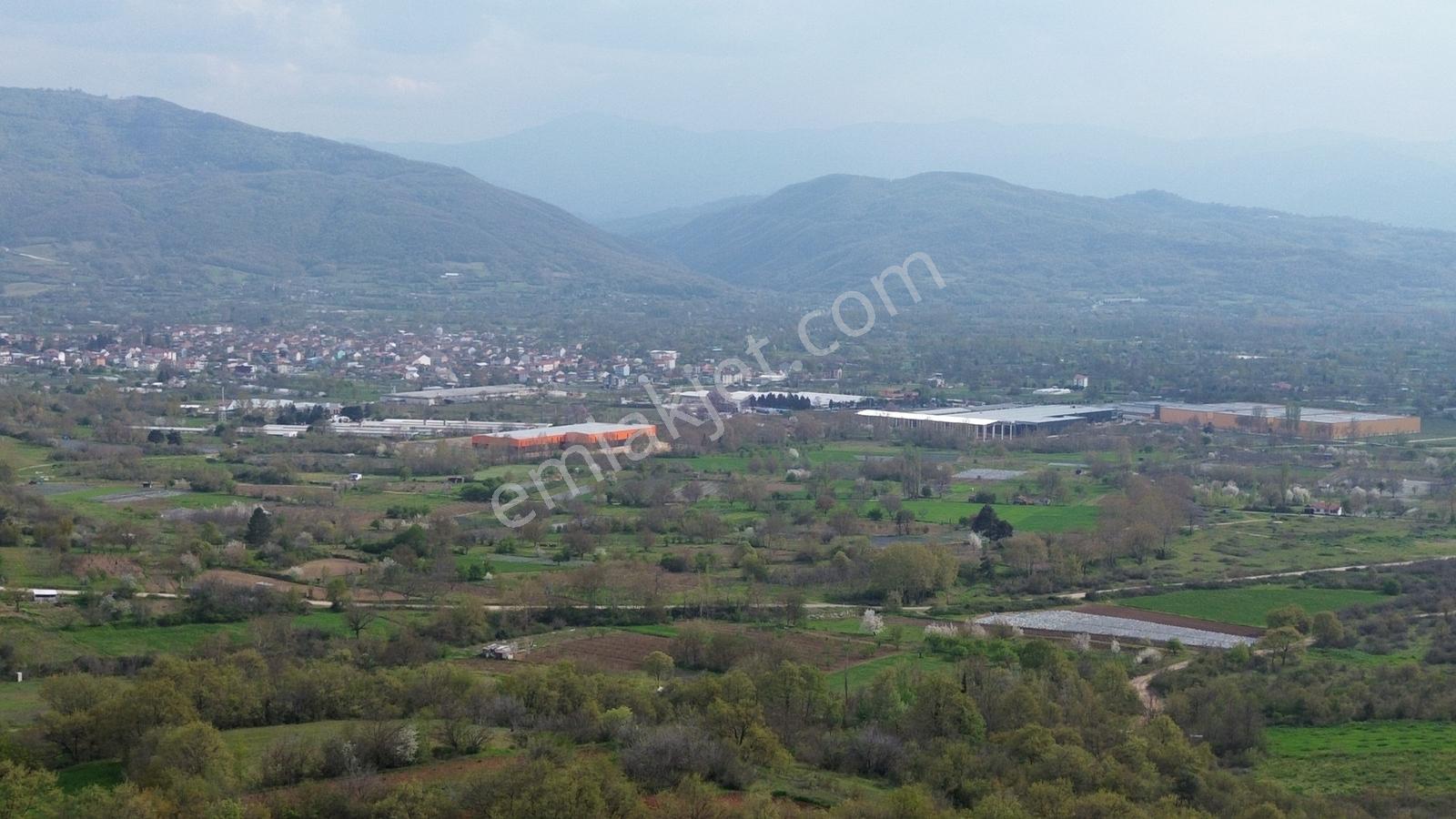 Küçükyenice'de Satılık 2800m2 Tek Tapu Ceviz Ekili Manzaralı - Görsel 12