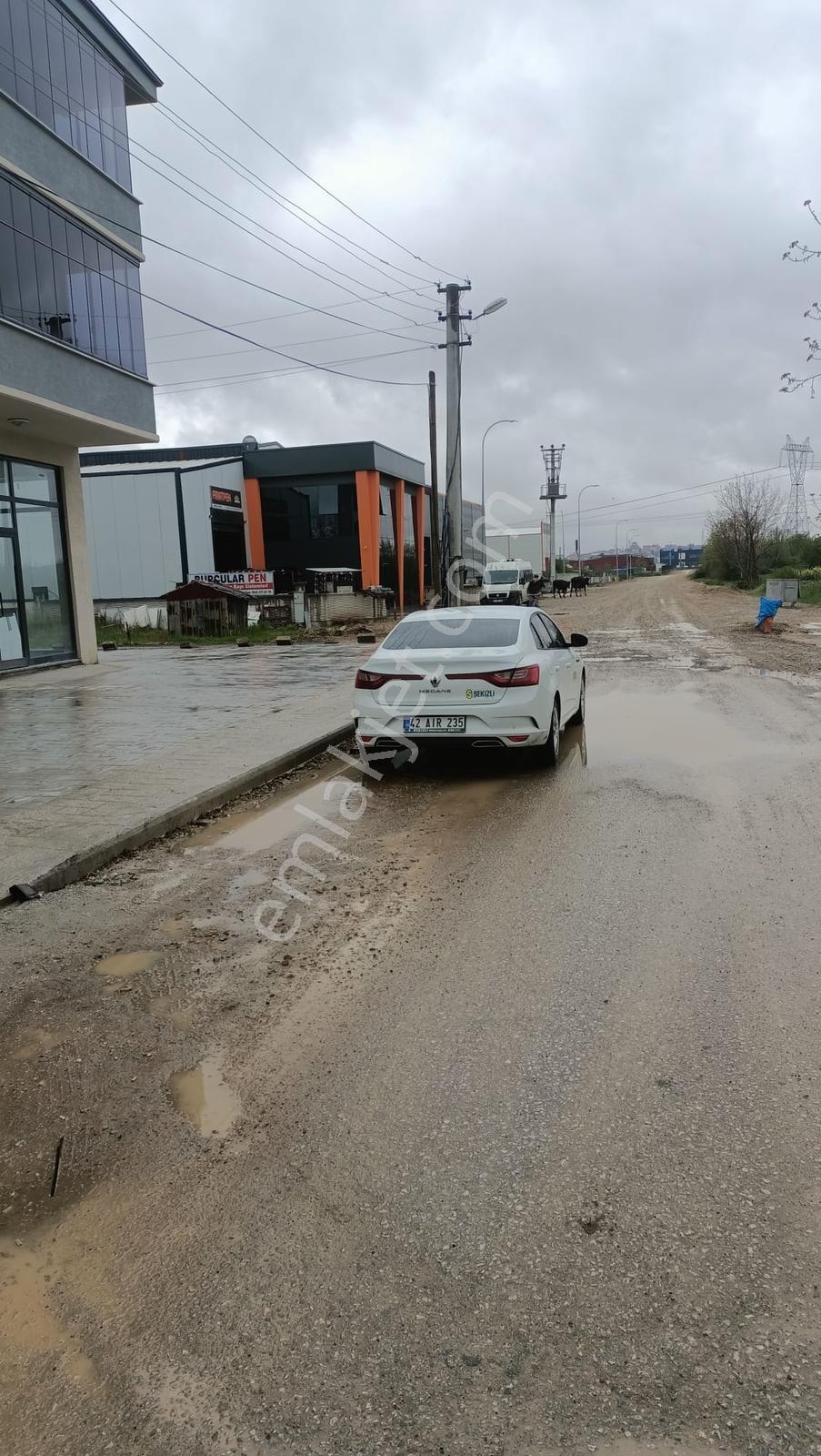 Hanlı Merkezde Kiralık İş Yerleri Depo,ofis,atölye İçin İdeal - Görsel 13