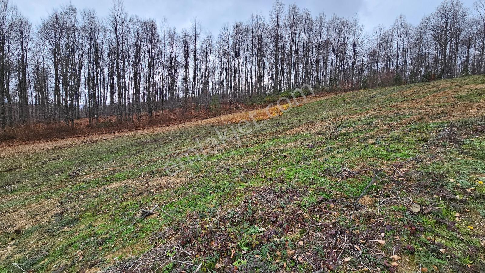 İznik Kutluca 'da 440 M² Konut,villalık İmarlı Arsa - Görsel 2