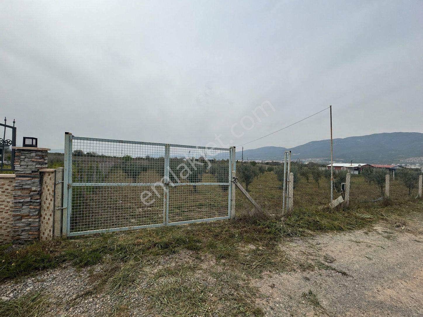 İzmirim Gayrimenkulden Yukarıkızılcada Evi Olan Paylı Mülkiyet