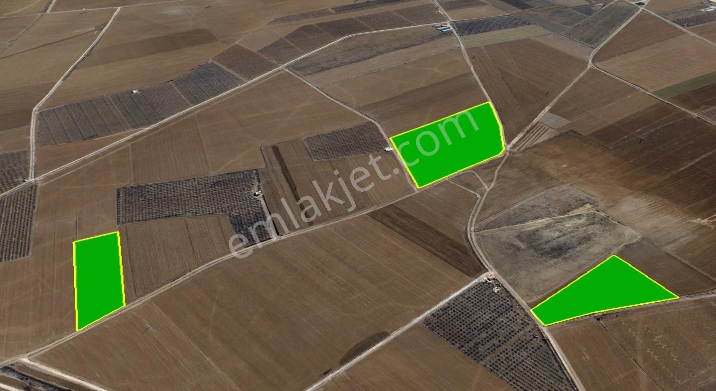 Bölükyazı Köyü Civarında 25 Dönüm Satılık Tarla - Görsel 4