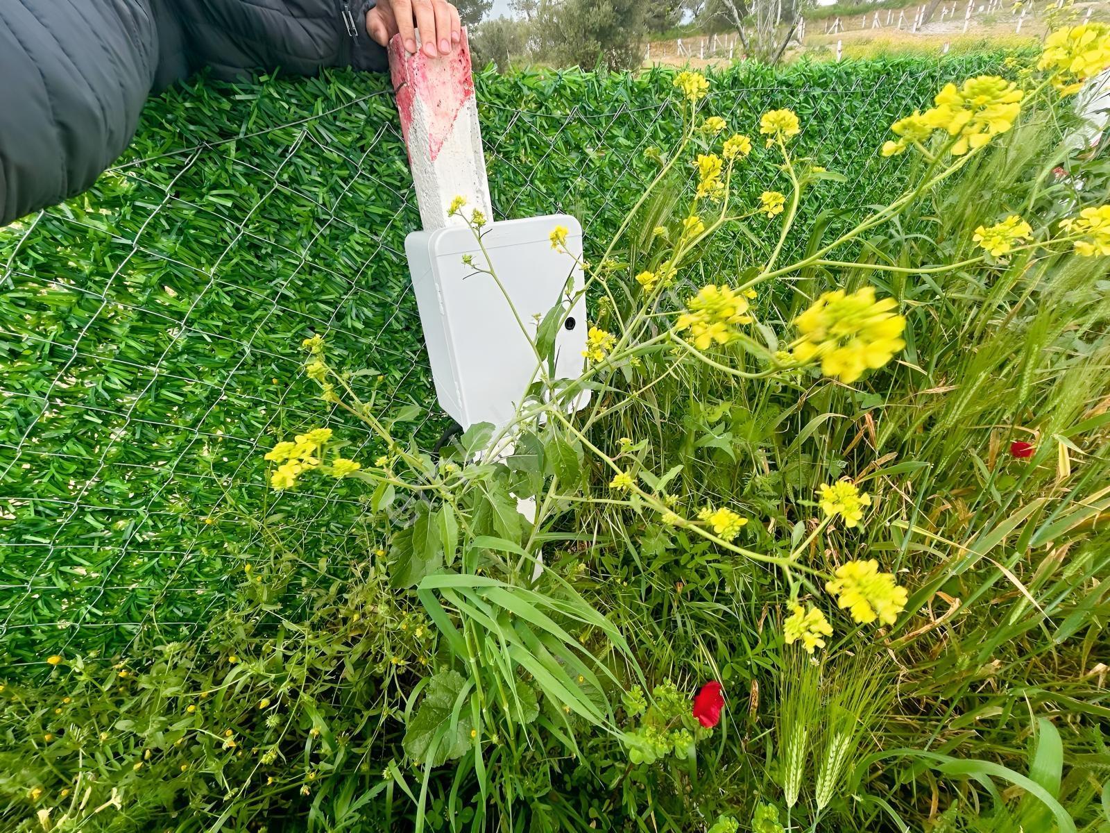 Vişneli De Elektrik Suyu Olan Tapudan Satışlı Paylı Mülkiyet - Görsel 6