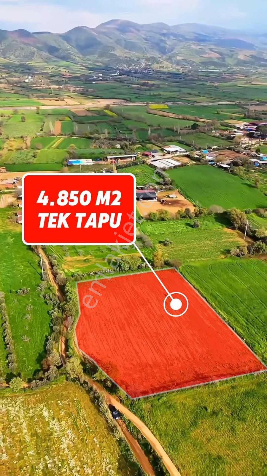 Karaman Mahallesinde Satılık 4.850 M2 Tarla - Görsel 6