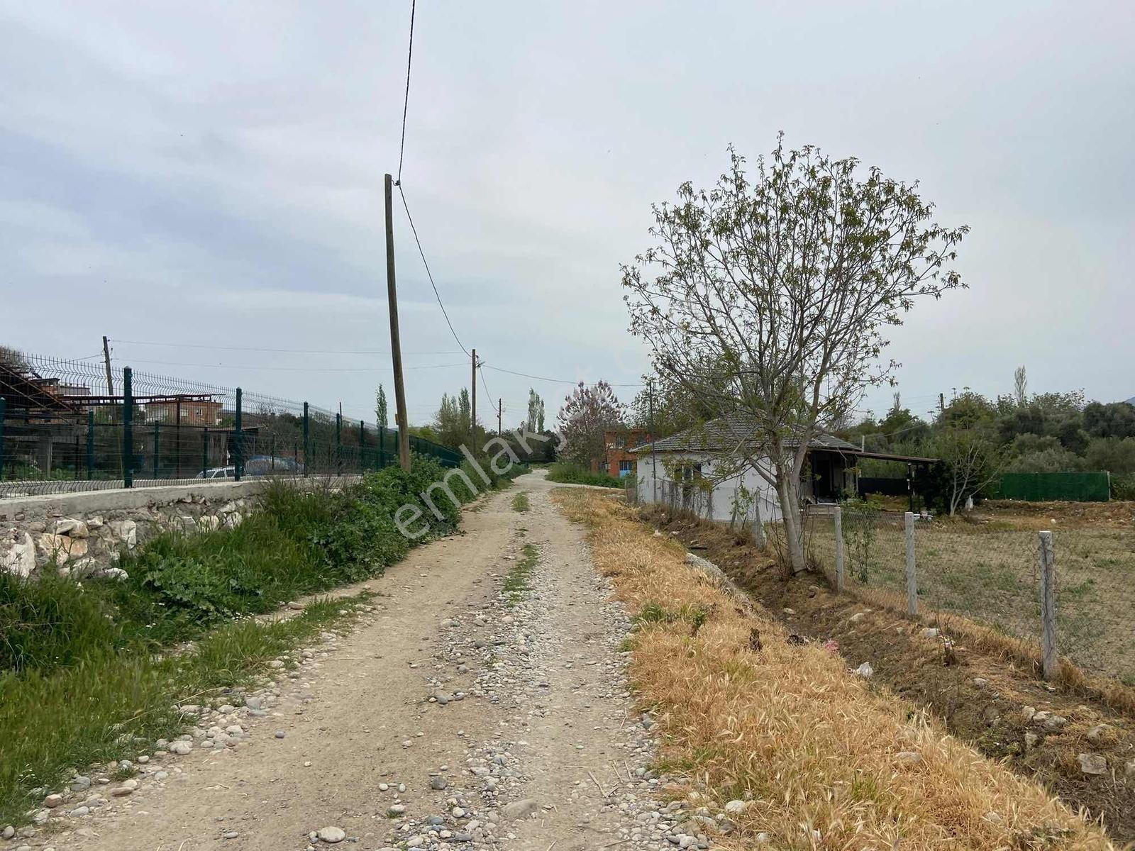 Re/max Pınden Aydın Bozdoğan Koyuncularda Satılık Yola Cephe - Görsel 13