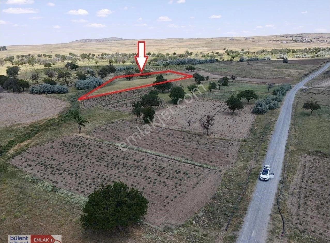 Nevşehir Acıgöl Ağılı Köyü Ada 131 Parsel 15’te 2.414 M² Satılık Arazi - Görsel 6