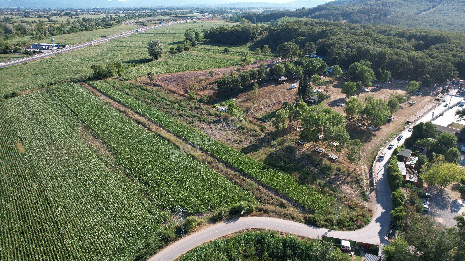 Göl Kıyısına Komşu | 6.402 M² Müstakil Arazi – Değerli Konum - Görsel 31