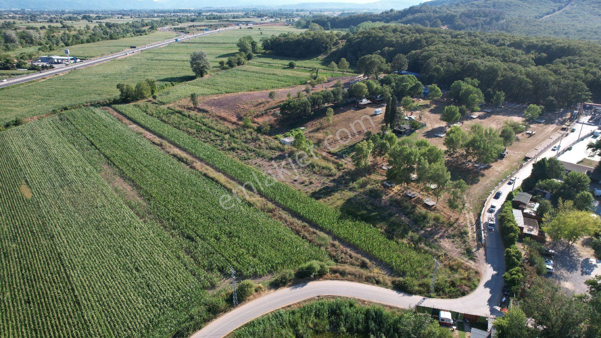 Göl Kıyısına Komşu | 6.402 M² Müstakil Arazi – Değerli Konum - Görsel 4
