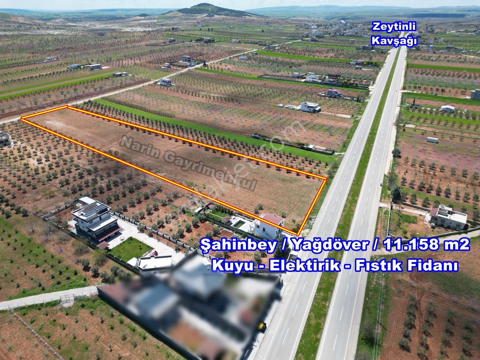 Şahinbey Yağdöver Havalimanı Asfaltı Elektirik Kuyu Fıstık - Görsel 9