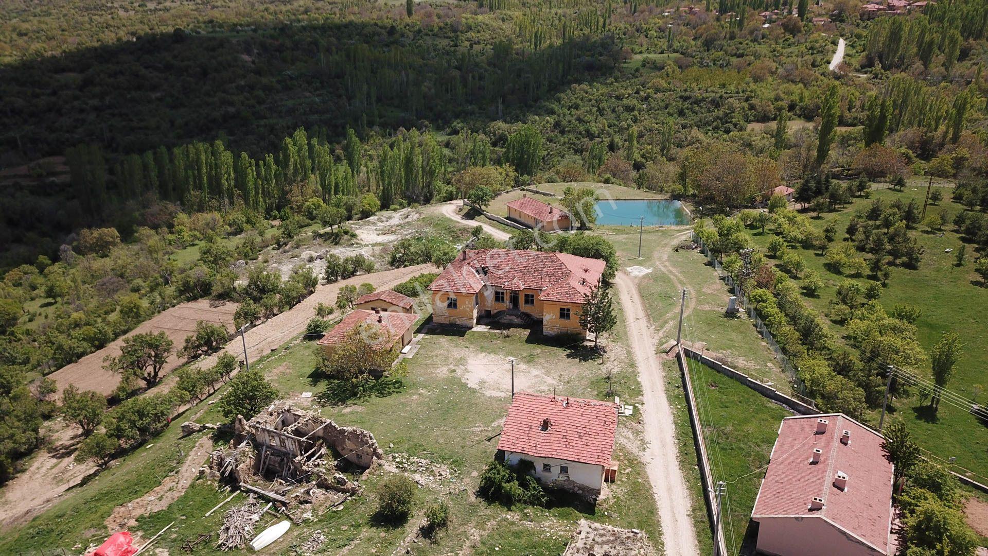 Eskişehir Mihalıçcık Obruk Köyü Resmi Kadastral Yollu Meyve Bahçesi - Görsel 8