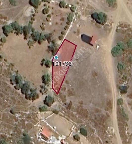 Expo Dan Burgaz Koyunda Denize Yakın 353 Metrekare Tarlamız - Görsel 3