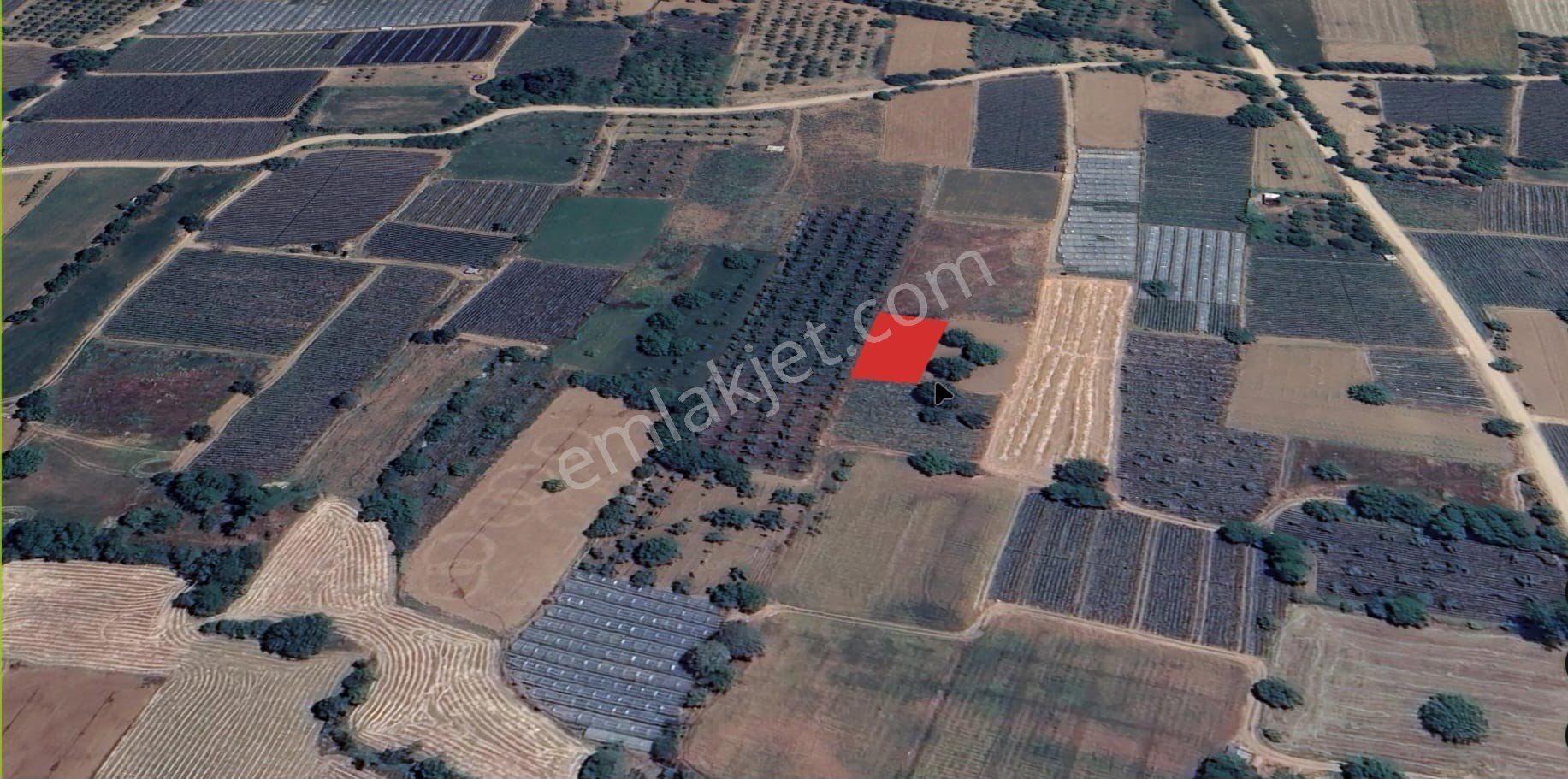 Roma’ Dan Kurşunlu Mahallesi’ Nde Satılık Tarla - Görsel 2