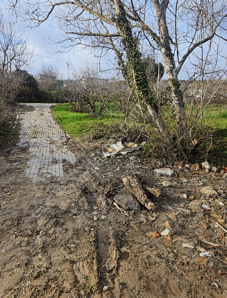 Dereköy'de Çift Yola Cephe Köyün Dibi Fırsat Bahçe!!! - Görsel 8
