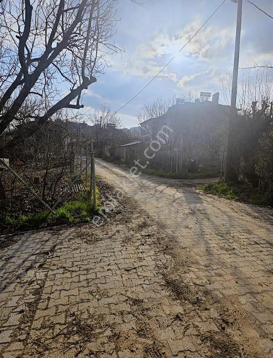 Dereköy'de Çift Yola Cephe Köyün Dibi Fırsat Bahçe!!! - Görsel 16