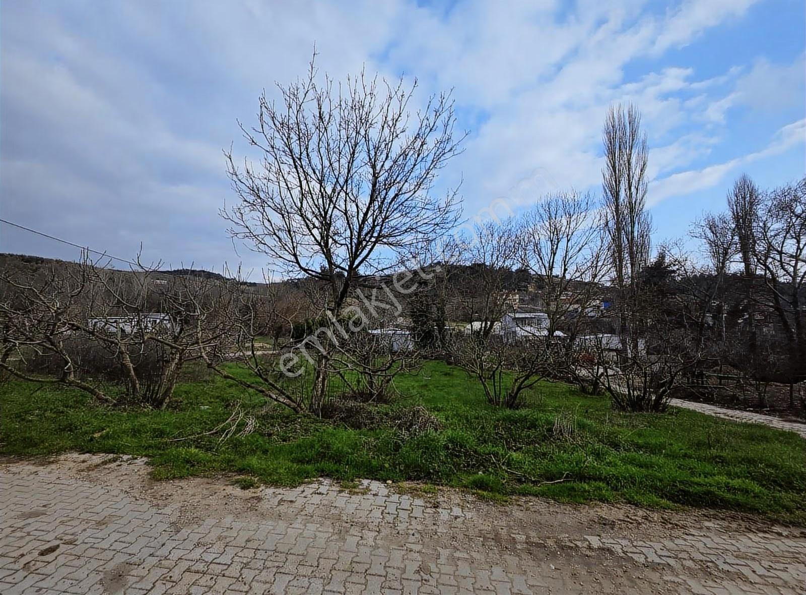 Dereköy'de Çift Yola Cephe Köyün Dibi Fırsat Bahçe!!! - Görsel 14