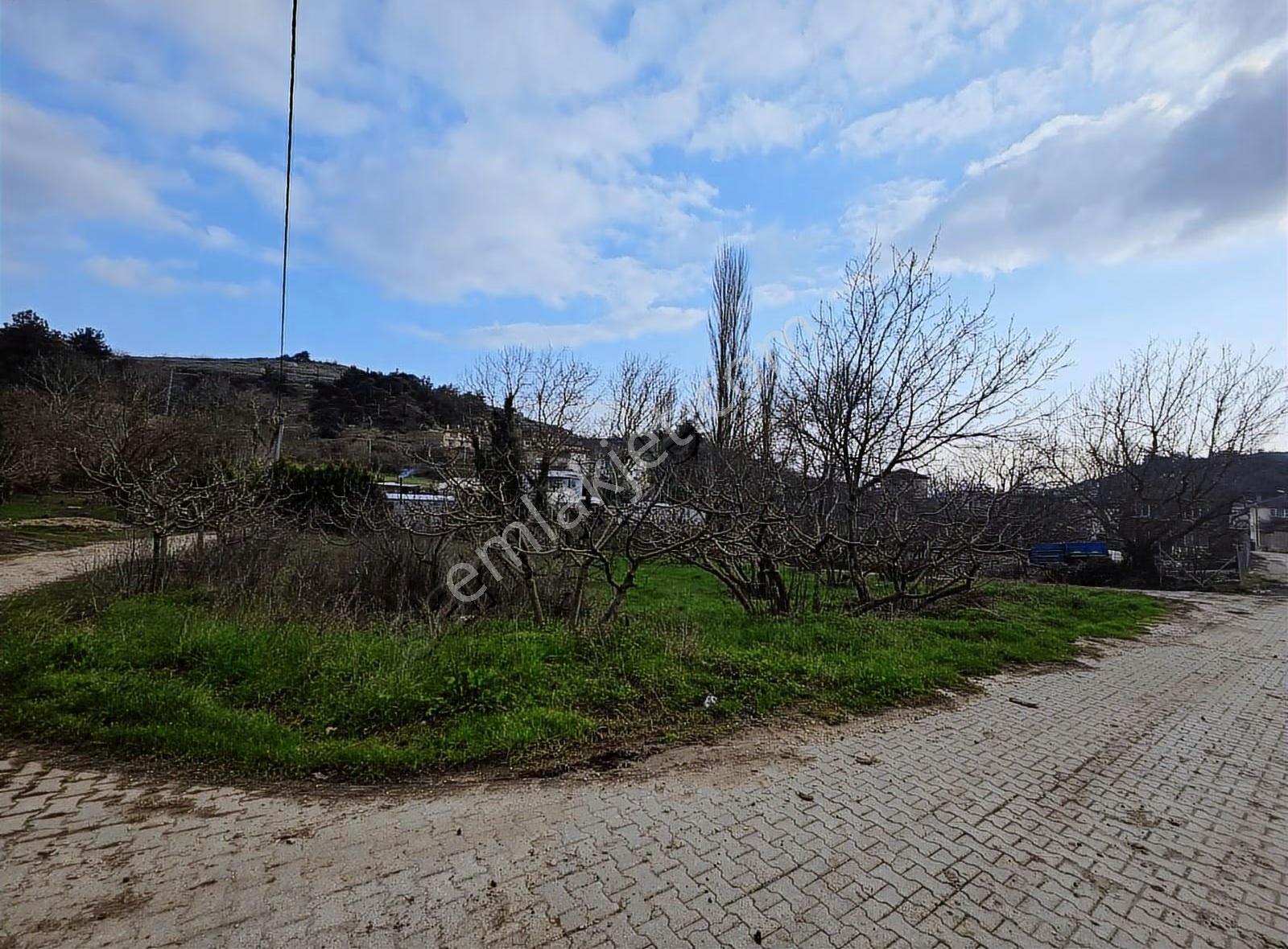 Dereköy'de Çift Yola Cephe Köyün Dibi Fırsat Bahçe!!!