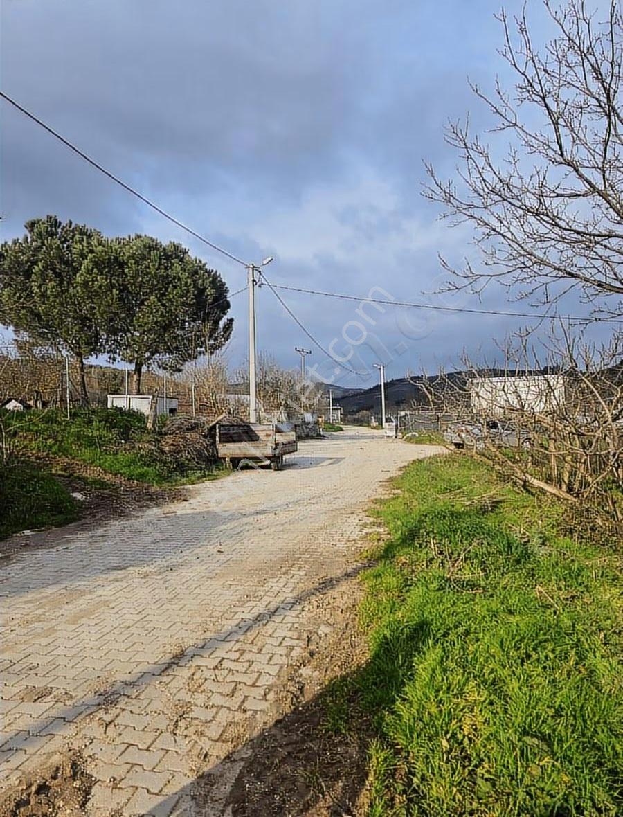 Dereköy'de Çift Yola Cephe Köyün Dibi Fırsat Bahçe!!! - Görsel 15