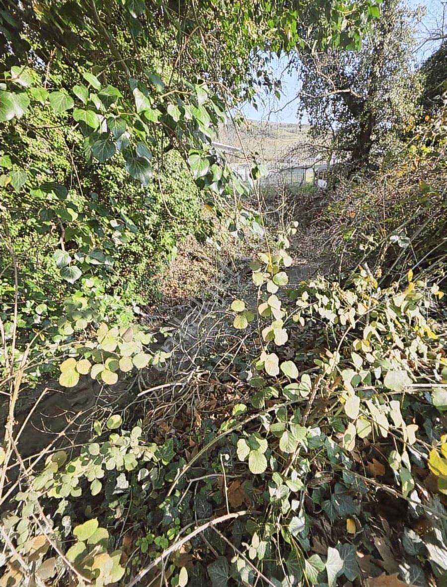 Dereköy'de Ana Yol Üzeri Her Türlü Kullanıma Uygun Tarla - Görsel 16