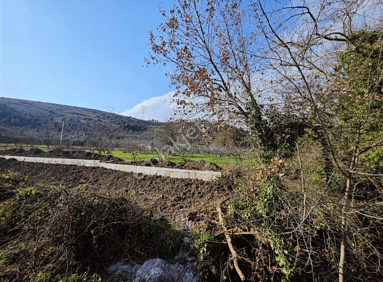 Dereköy'de Ana Yol Üzeri Her Türlü Kullanıma Uygun Tarla - Görsel 10