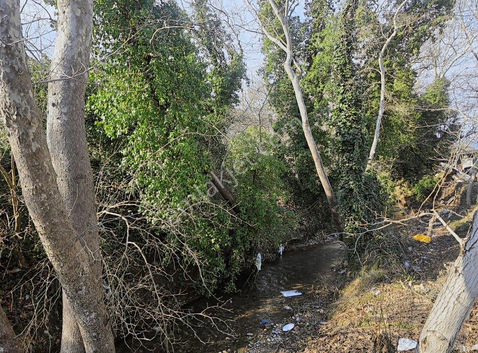 Dereköy'de Ana Yol Üzeri Her Türlü Kullanıma Uygun Tarla - Görsel 11