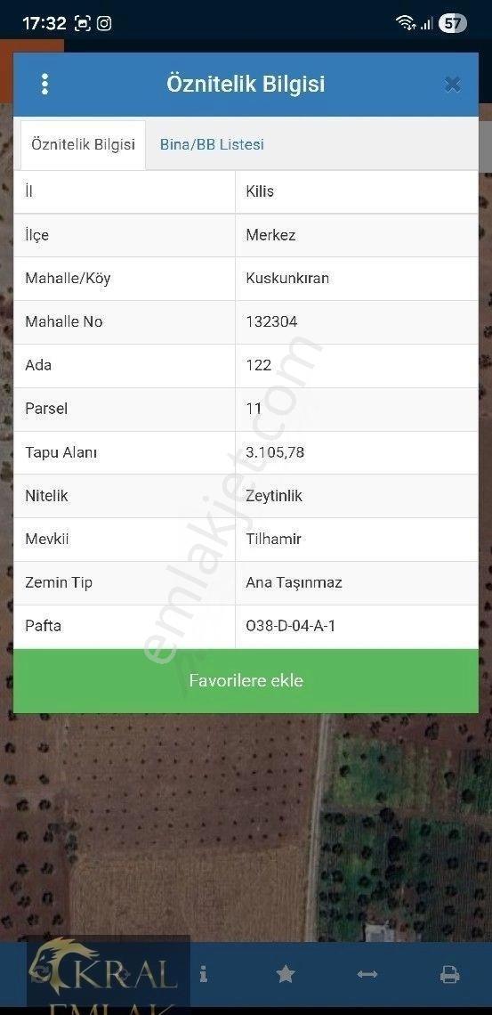 Kilis Merkez Kuskunkıranda Satılık Zeytin - Görsel 4