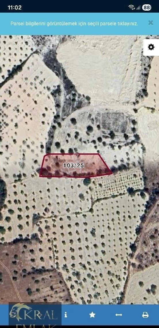 Gaziantep Şahinbey Morcalı Da Satlık Arazi