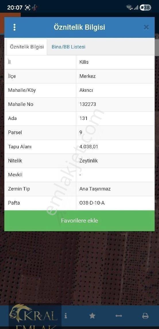 Kilis Akıncıda Satılık Zeytin - Görsel 20