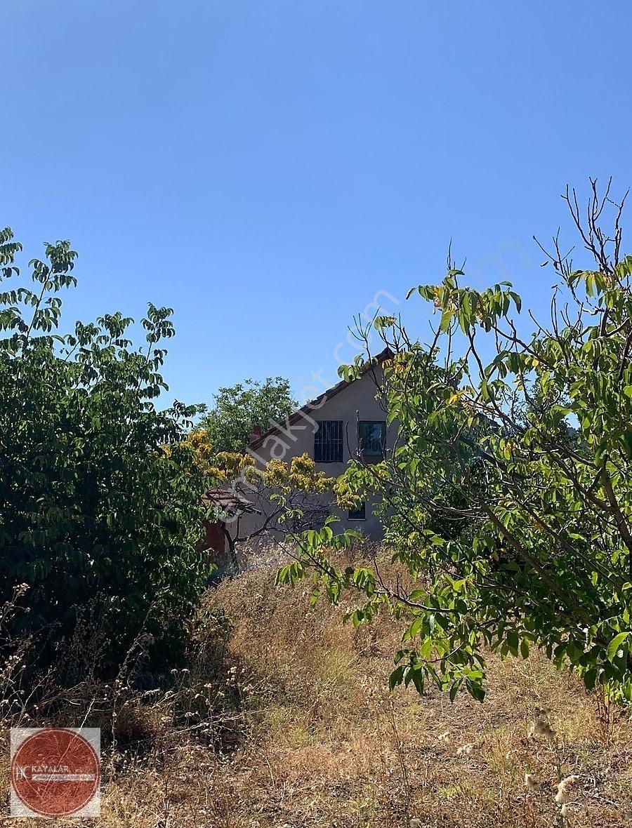 Kayalar'dan Kocapınar'da 10400m2 İki Parça Satılık Ceviz Bahçesi - Görsel 19