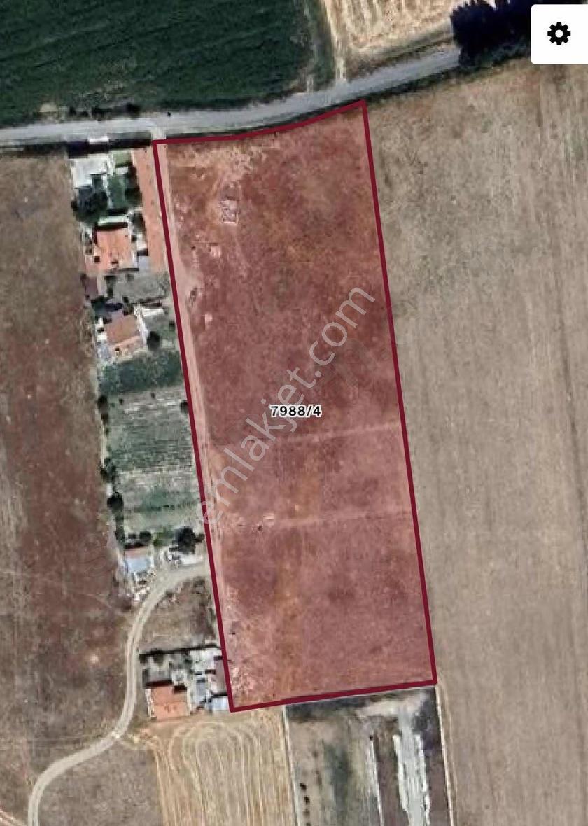 Kocasinan Akçatepe Mahallesinde Asfaltın Yanında